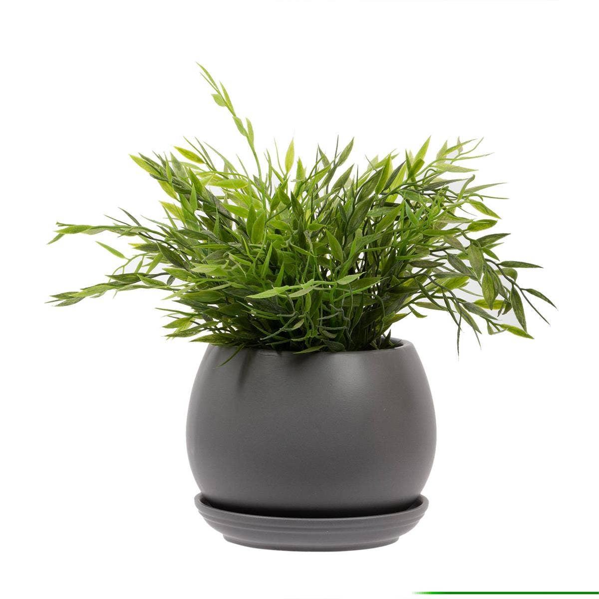 Truu Design Matte Ceramic Planter 6"D