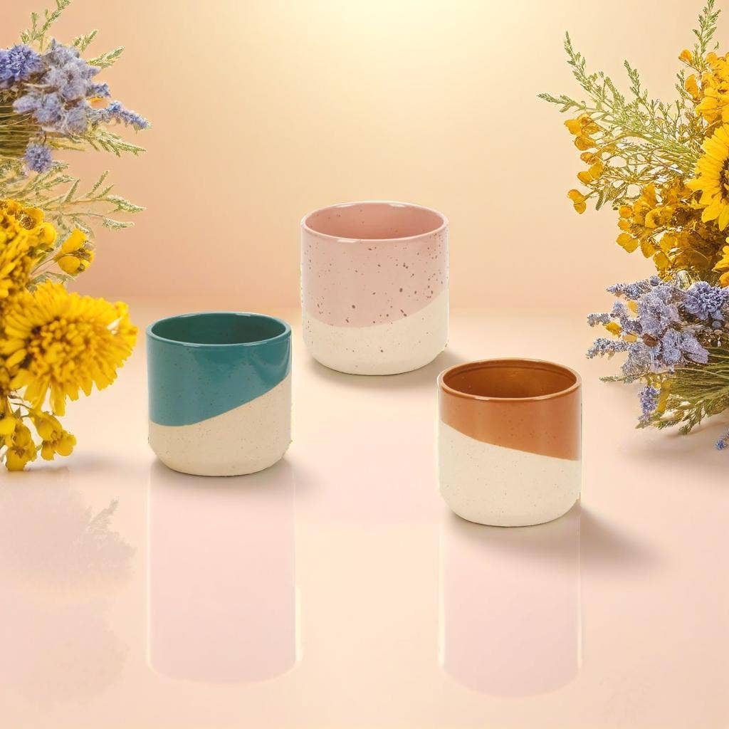 Truu Design Dipped Glaze Planters/Plant Pots, 5.1"D, 3 Col.