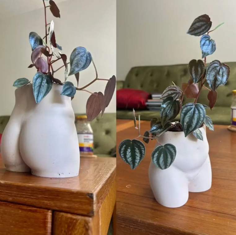 Curvy Peachy planter