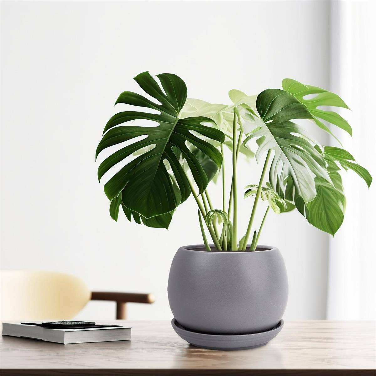 Truu Design Matte Ceramic Planter 6"D