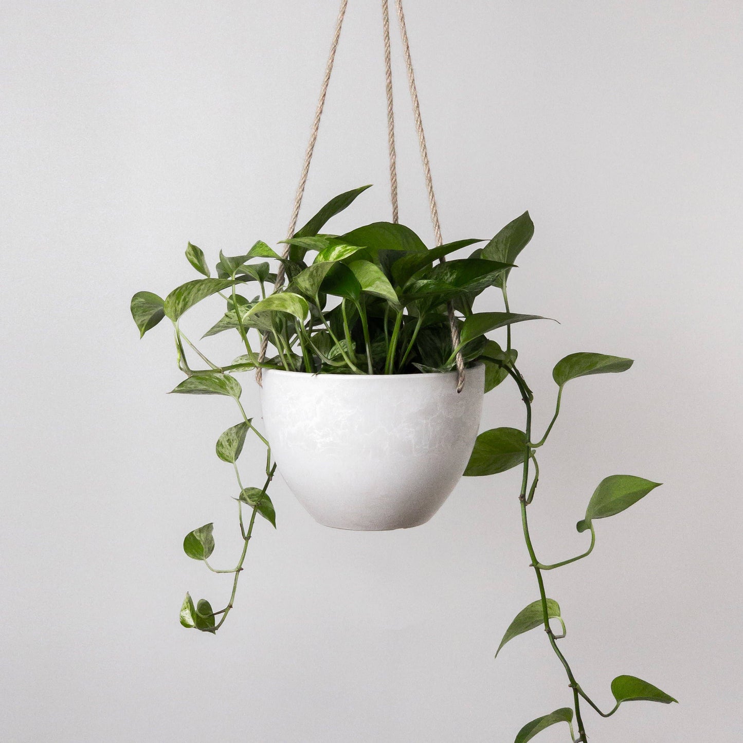 8" | 12" Signature Stone Hanging Planter Pot | 4 Colorways