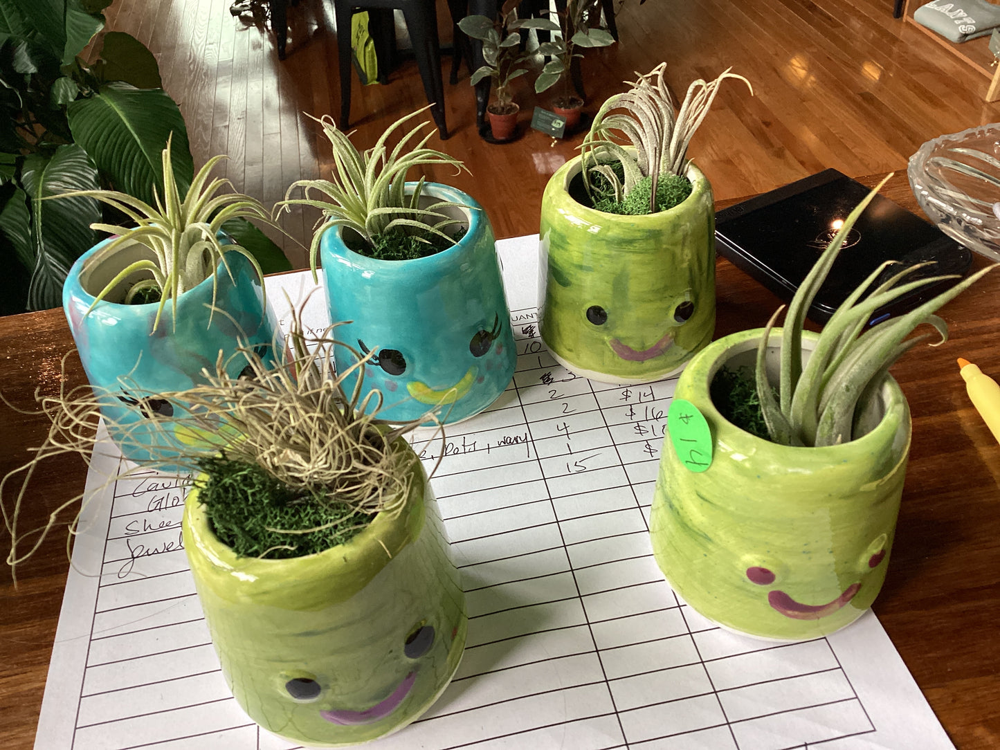 Air plant pots by Em Masi