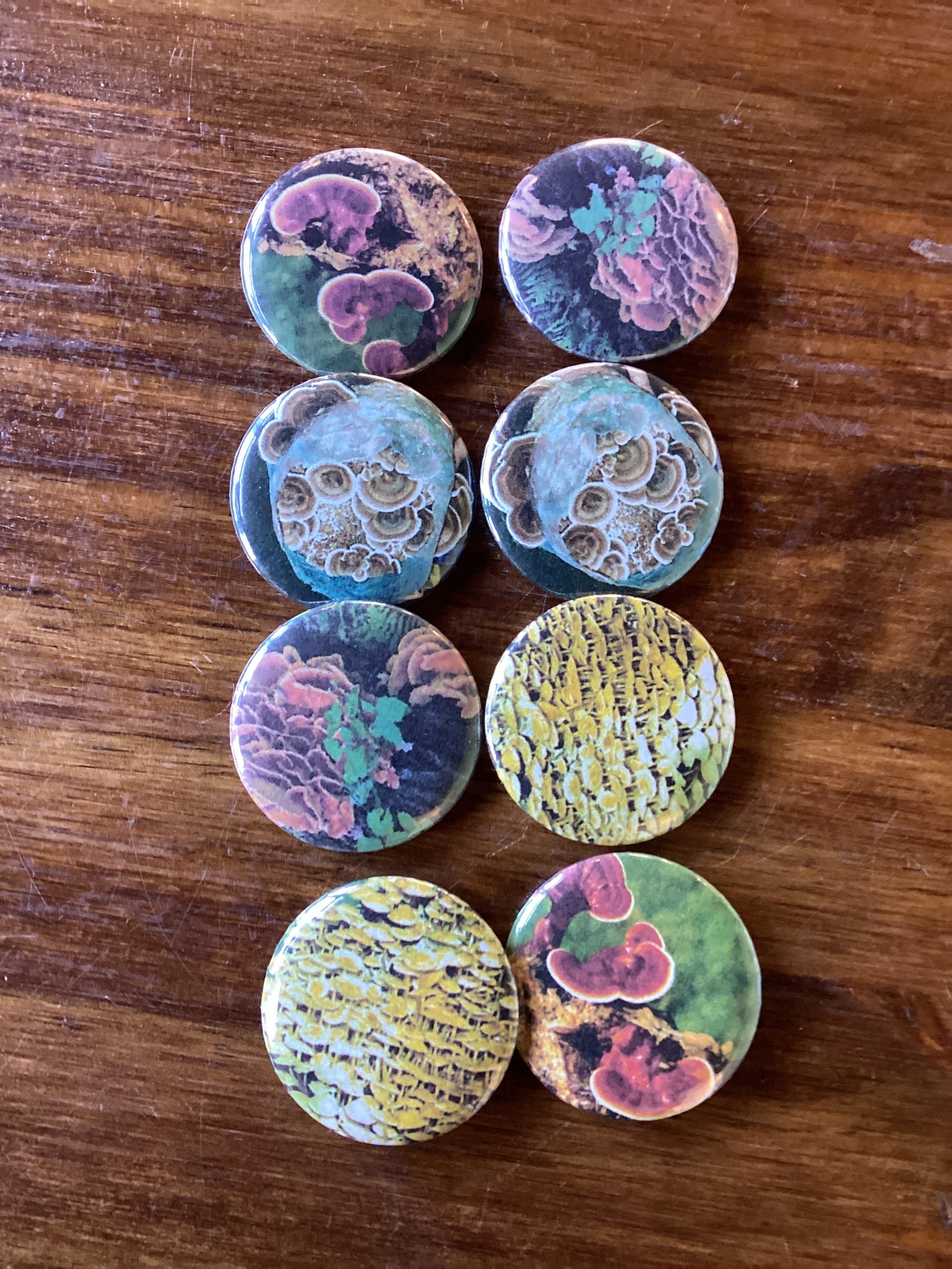 Collage Notebooks, Cards, and Buttons by Kris
