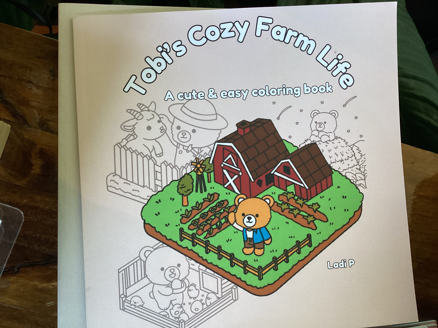 Lady P Coloring Books