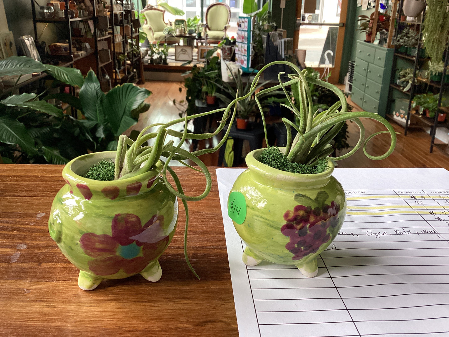 Air plant pots by Em Masi