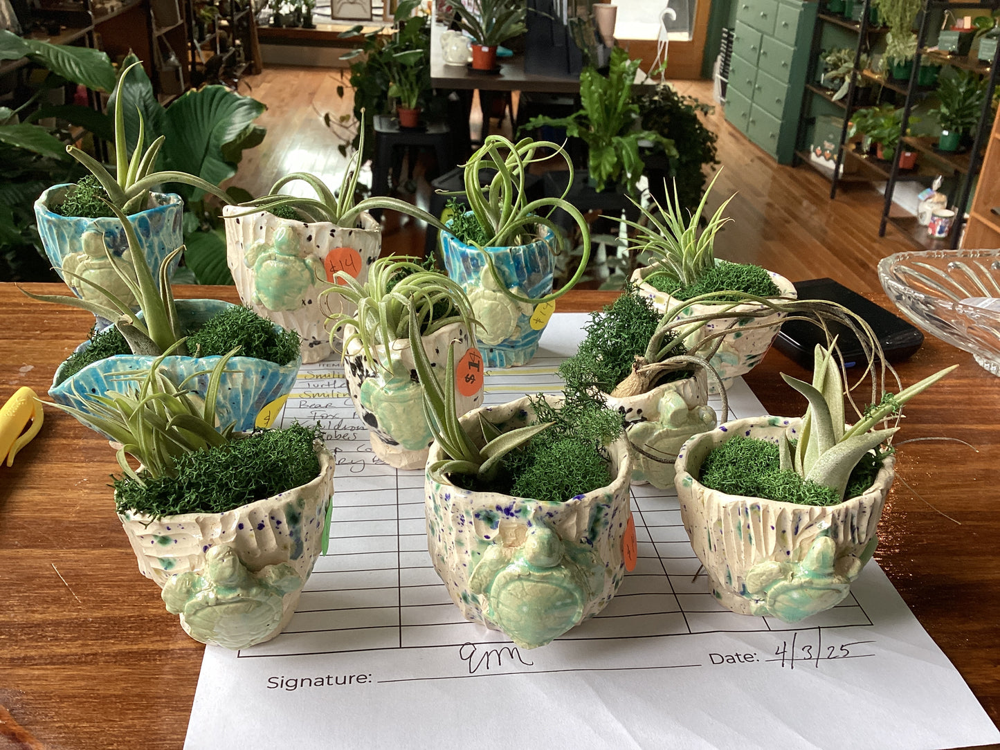 Air plant pots by Em Masi