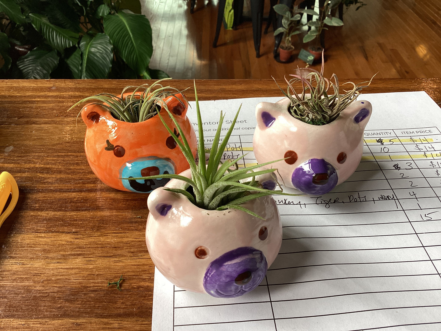 Air plant pots by Em Masi
