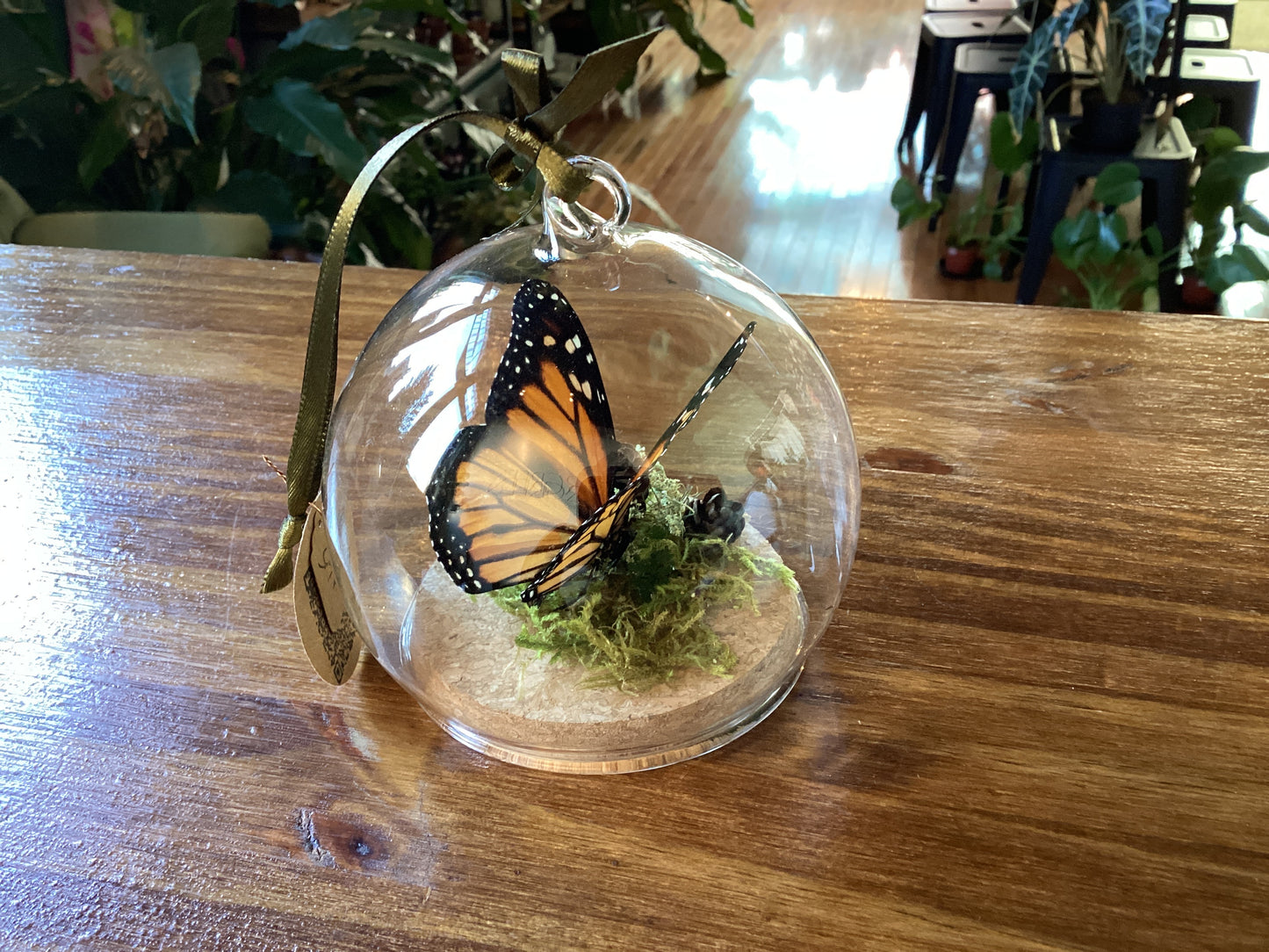 Butterfly ornament