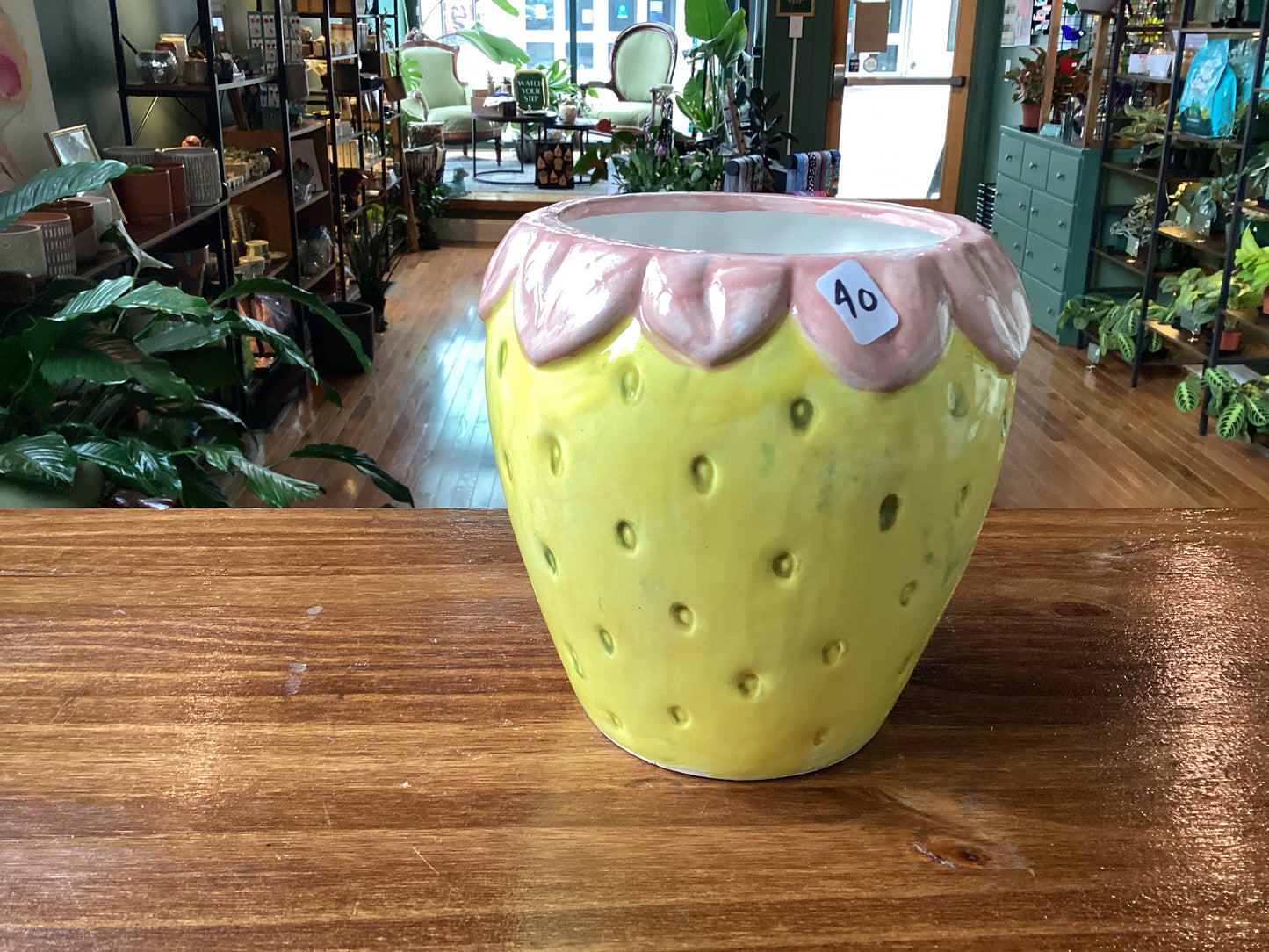 Ceramic pots & planters by Em Masi