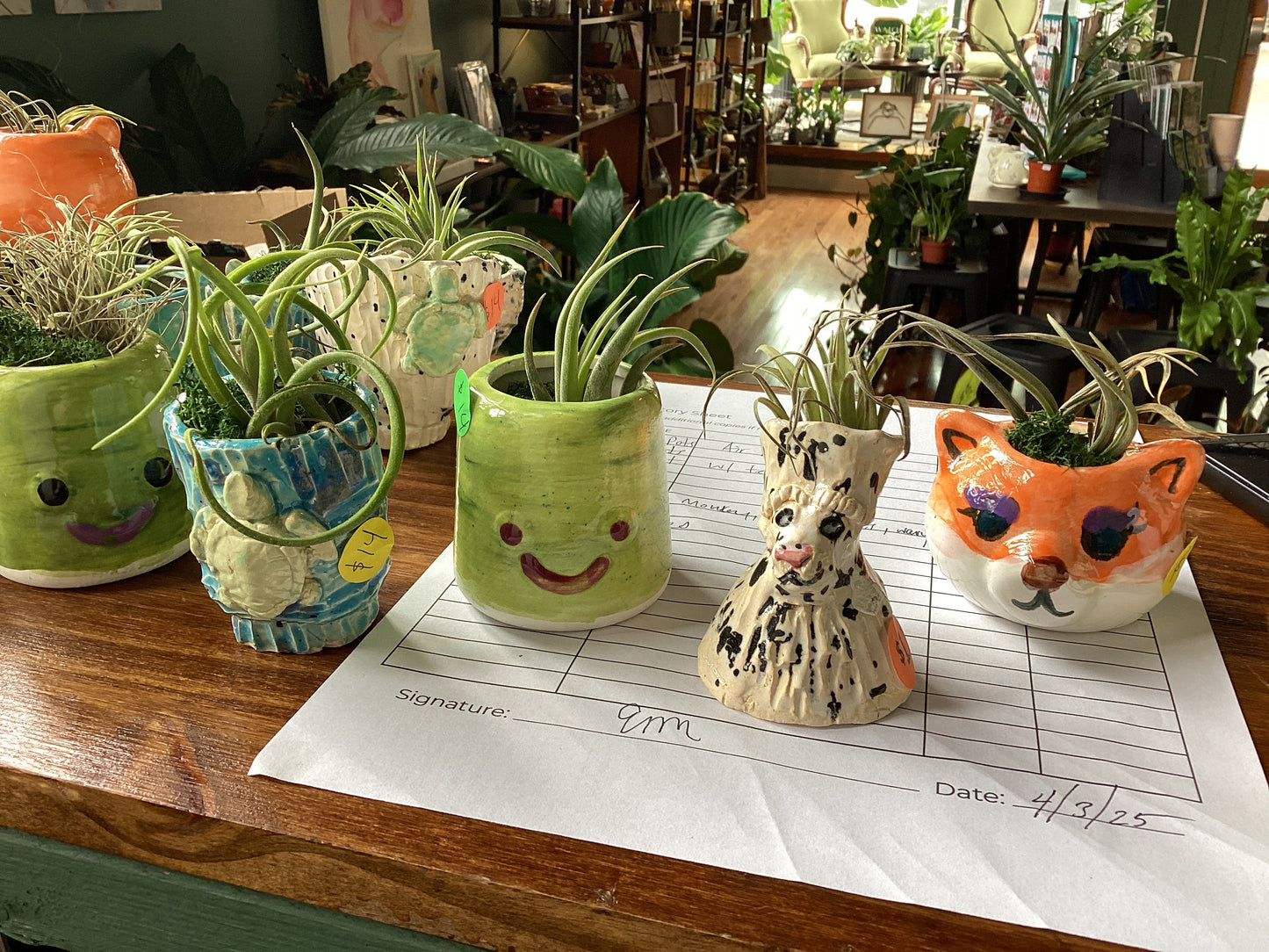 Air plant pots by Em Masi