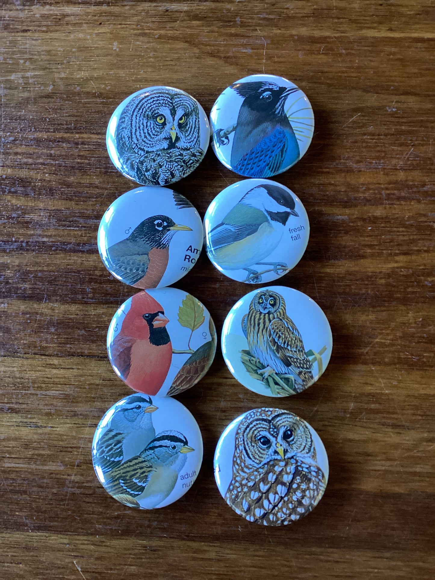 Collage Notebooks, Cards, and Buttons by Kris