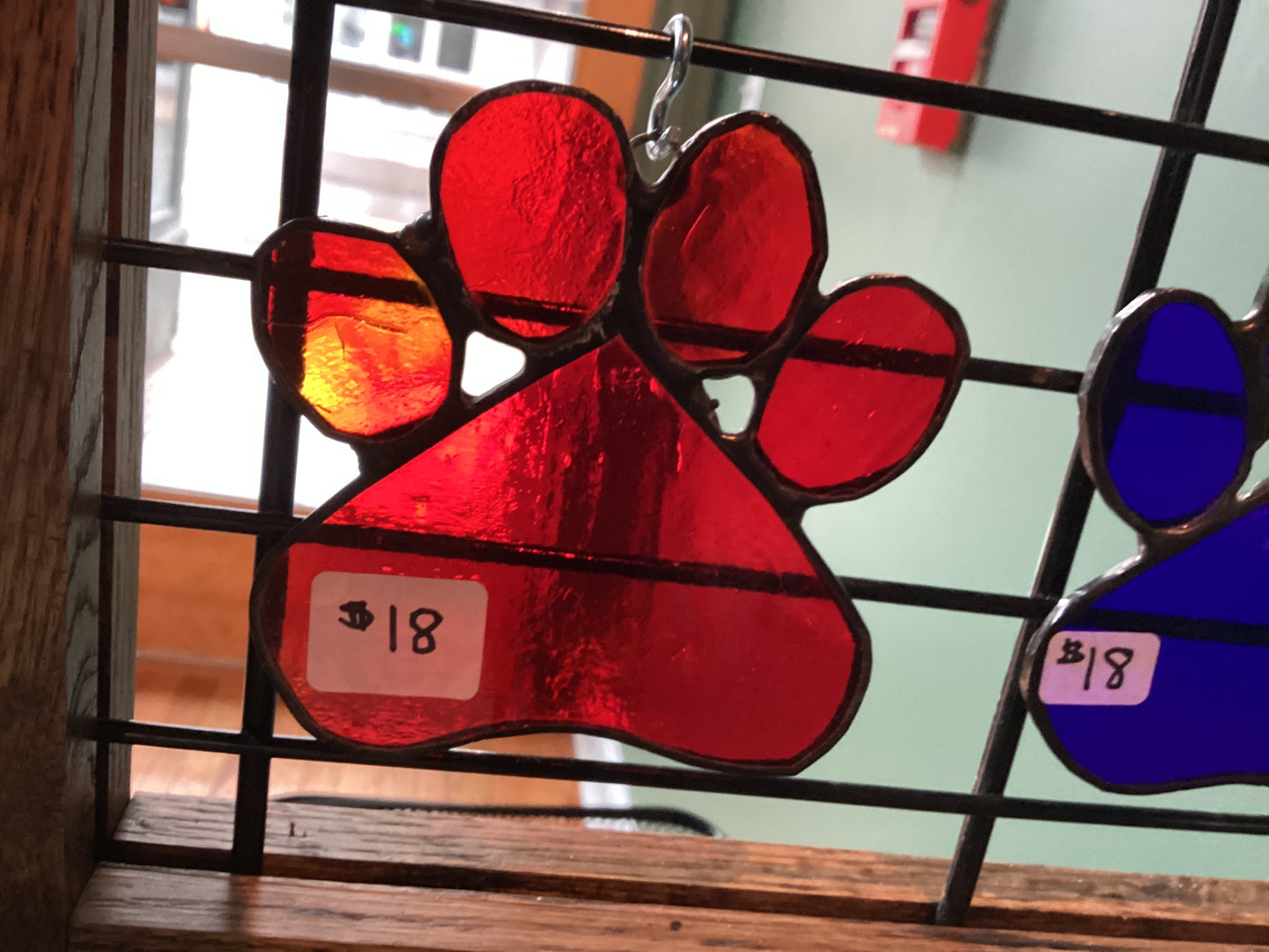 Paw Prints