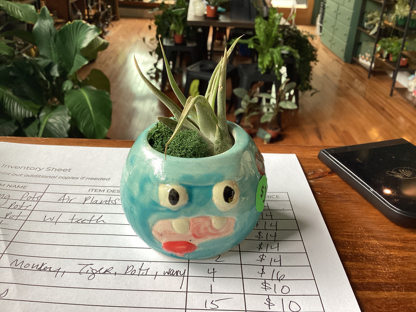 Air plant pots by Em Masi
