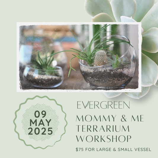 Mommy & Me Terrarium Workshop